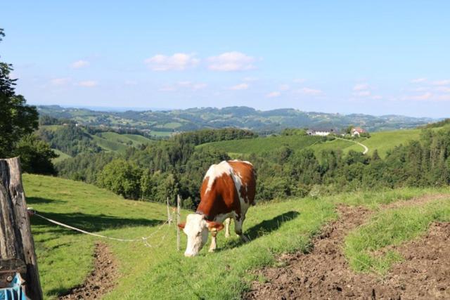 Serschenhof- Auszeit Ueber Dem Stall Leutschach Exteriör bild